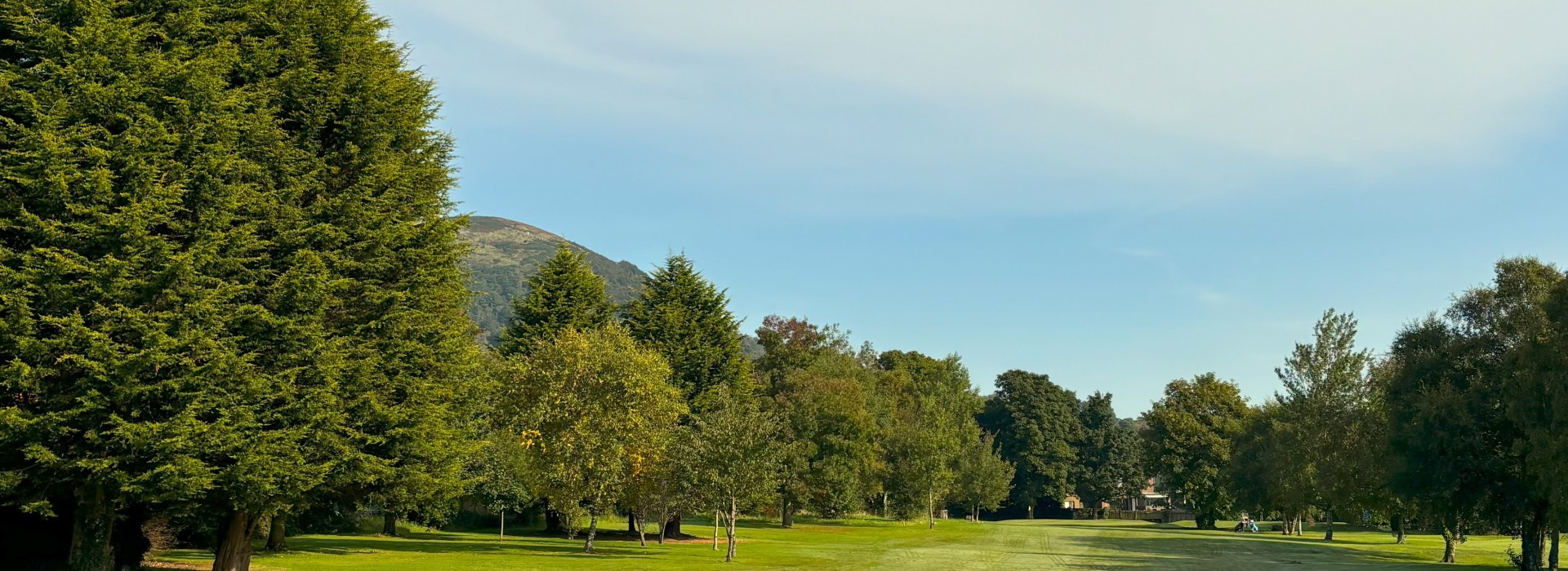 View of Golf course and trees